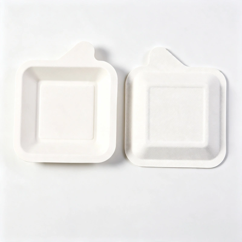 Disposable Sugarcane Bagasse Square Tray with Tab Handle